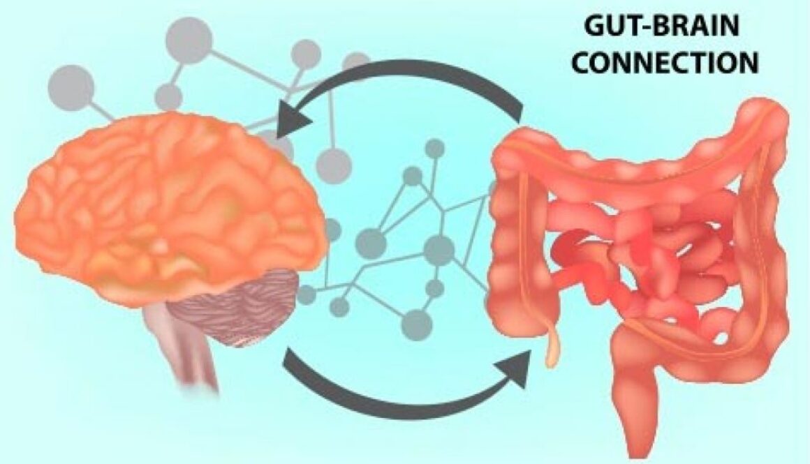 blog-gut-brain-connection-1024x585