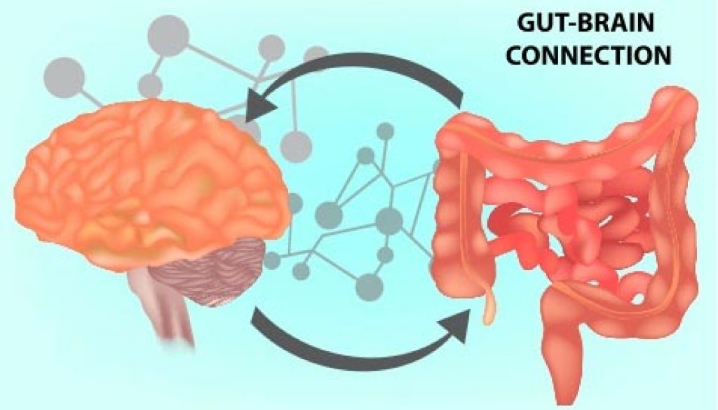 The Gut-Brain Connection Is Important For Mental Health And More! The Gut-Brain Connection Is Important For Mental Health And More!